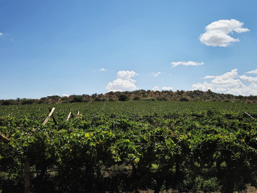 Commercial Property for Sale in Groblershoop Northern Cape